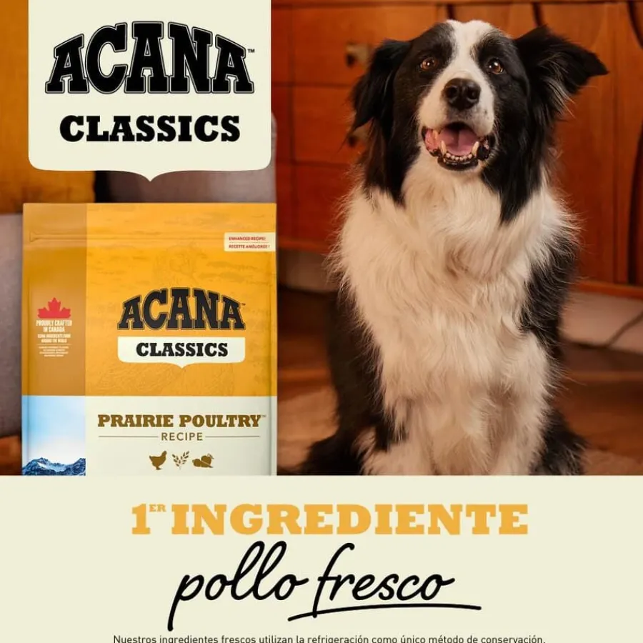 Acana Classics Prairie Poultry pienso para perros Sale