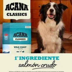 Acana Classics Wild Coast Pescado pienso para perros Best