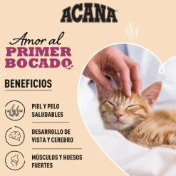 Acana First Feast pienso para gatitos Clearance