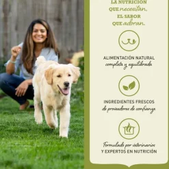 Acana Homestead Harvest pienso para gatos New