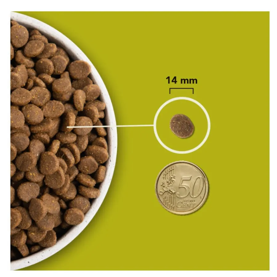 Acana HP Grasslands pienso para perros