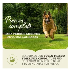 Acana Light & Fit pienso para perros Best