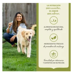 Acana Light & Fit pienso para perros Best