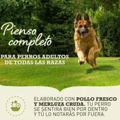 Acana Sport & Agility pienso para perros New