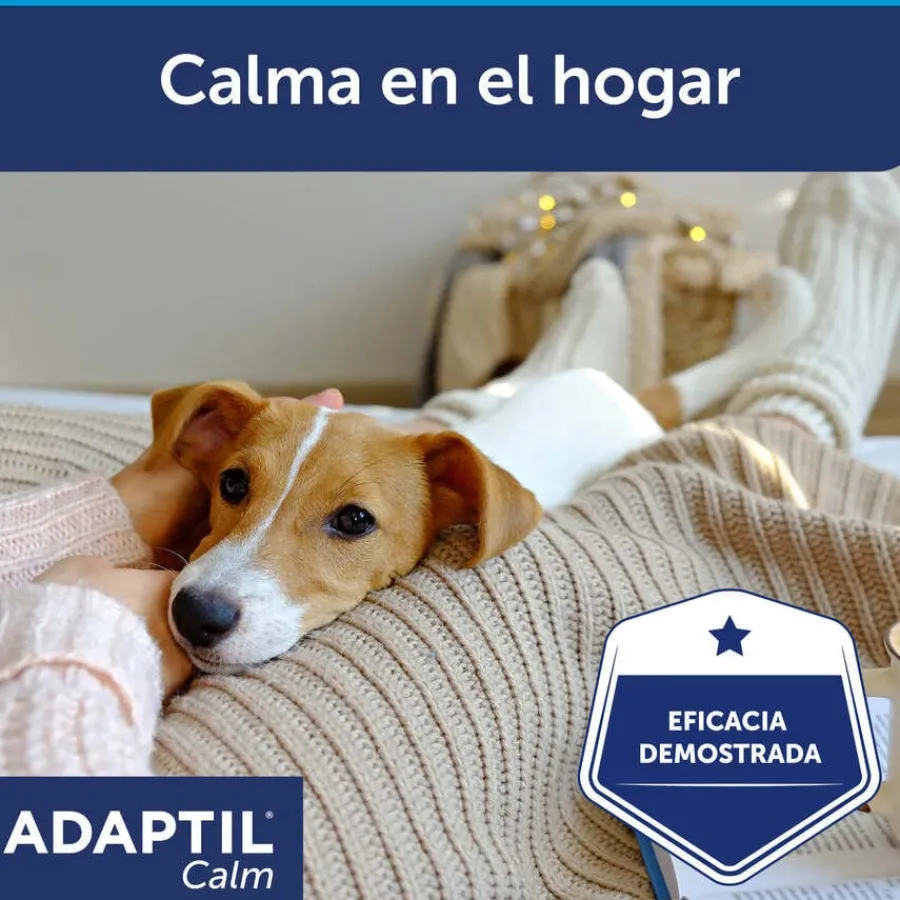 Adaptil Difusor y Recambio Tranquilizante para perros Hot