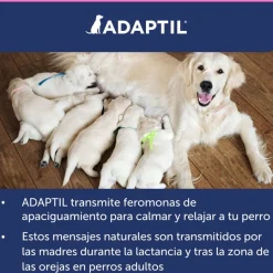 Adaptil Junior Collar Anti-estrés para perros New