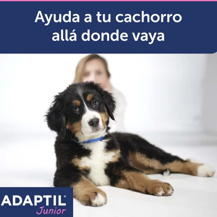 Adaptil Junior Collar Anti-estrés para perros New
