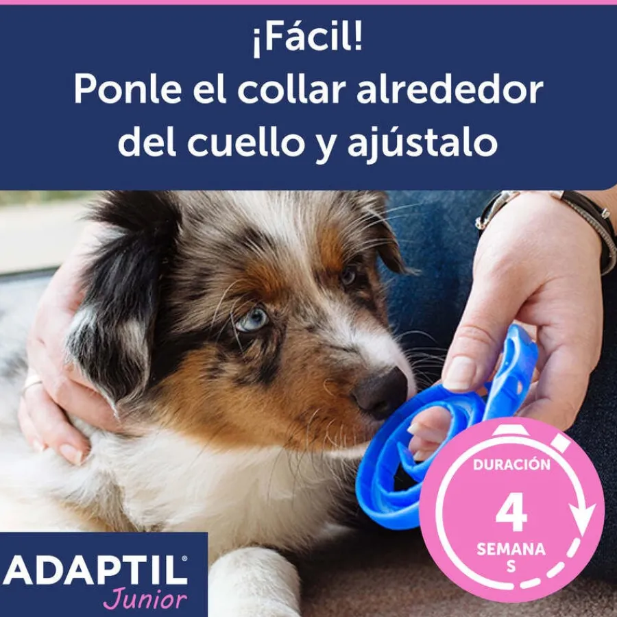 Adaptil Junior Collar Anti-estrés para perros New