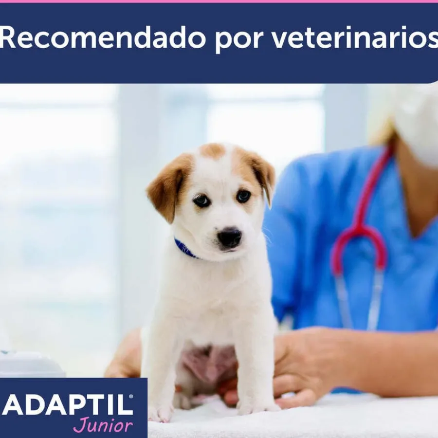 Adaptil Junior Collar Anti-estrés para perros New
