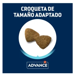 Advance Active Defense Medium Adult Pollo y Arroz pienso para perros Best