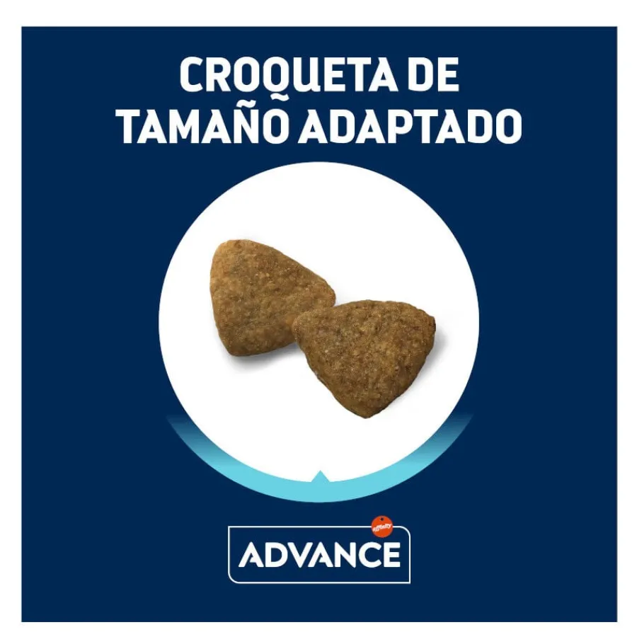 Advance Active Defense Medium Adult Pollo y Arroz pienso para perros Best