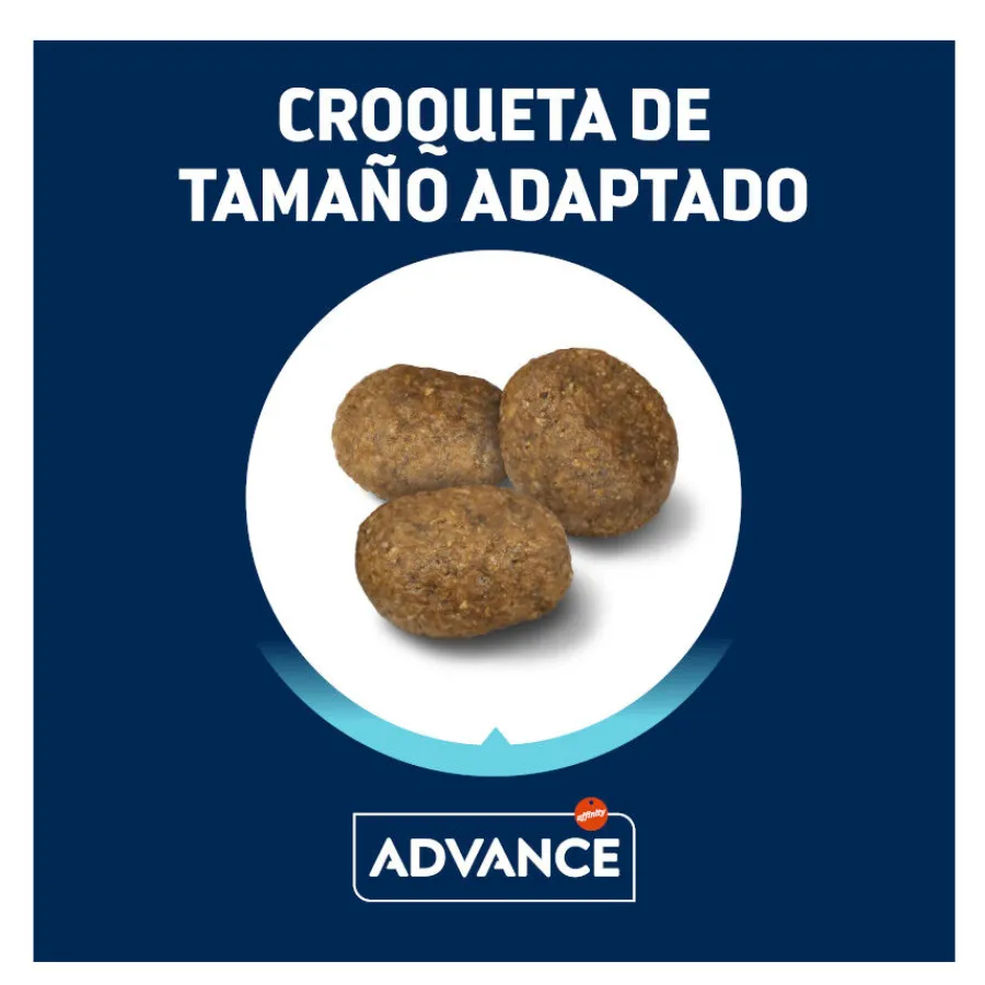 Advance Active Defense Medium Maxi Sensitive Salmón y Arroz pienso para perros Online