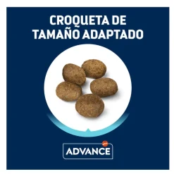 Advance Active Defense Mini Sensitive Salmón y Arroz pienso para perros Online