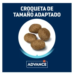 Advance Active Defense Sensitive Cordero y Arroz pienso para perros Best