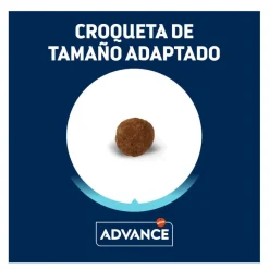 Advance Active Defense Yorkshire Terrier Adult pienso para perros Best