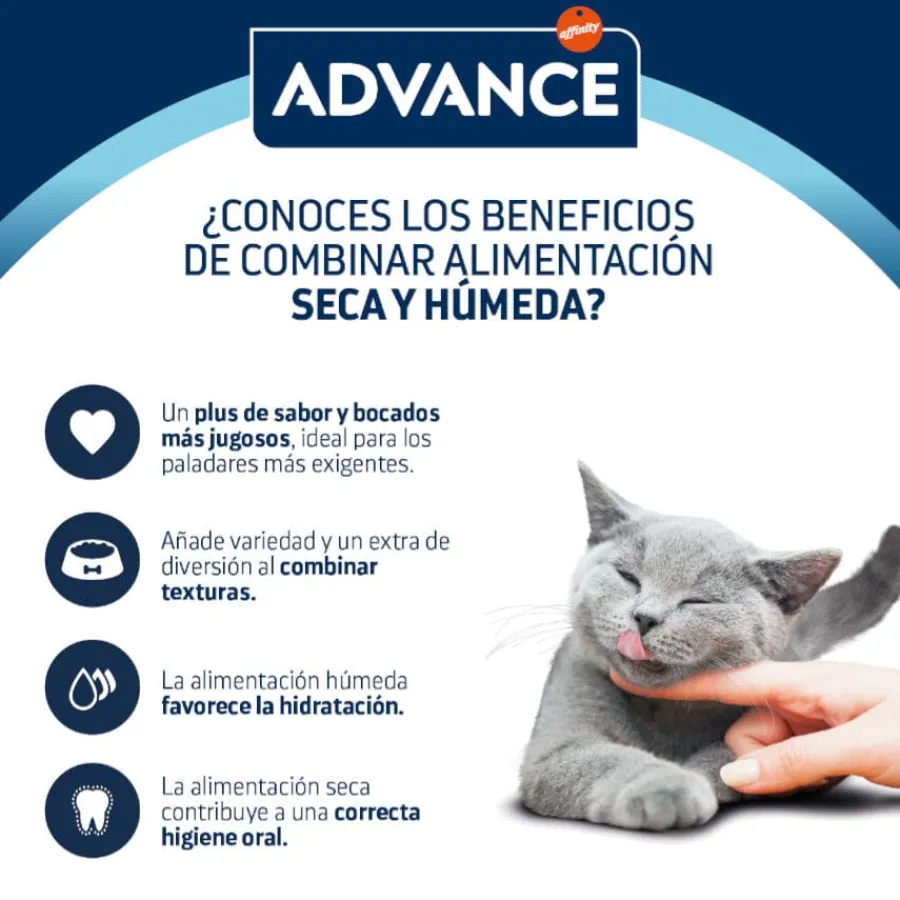 Advance Adult Bocaditos con Pollo en salsa sobre para gatos New