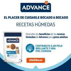 Advance Adult Bocaditos con Pollo en salsa sobre para gatos New