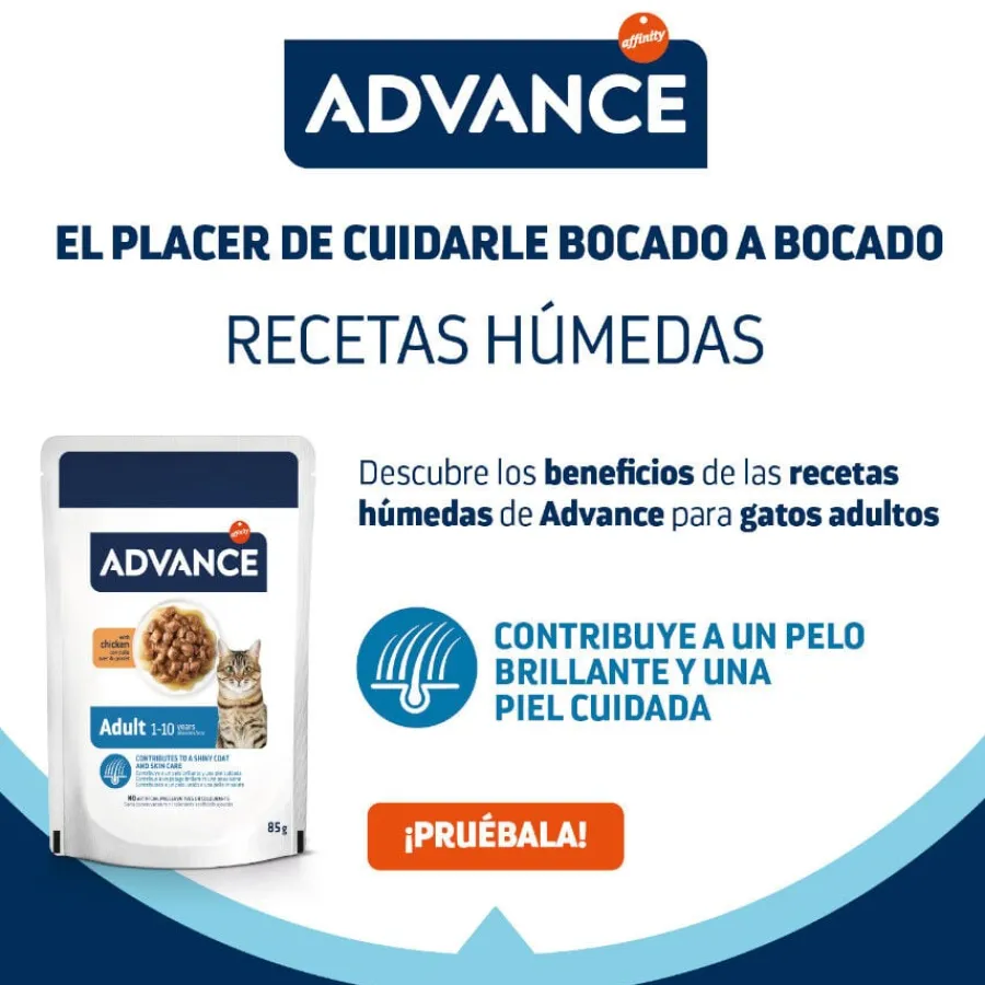 Advance Adult Bocaditos con Pollo en salsa sobre para gatos New