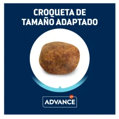 Advance Adult Labrador & Golden Retriever Active Defense Pollo y Arroz pienso para perros Best