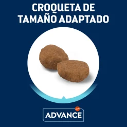 Advance Adult Pollo y Arroz pienso para gatos Clearance