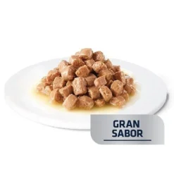 Advance Gastroenteric Pollo sobre para gatos Hot