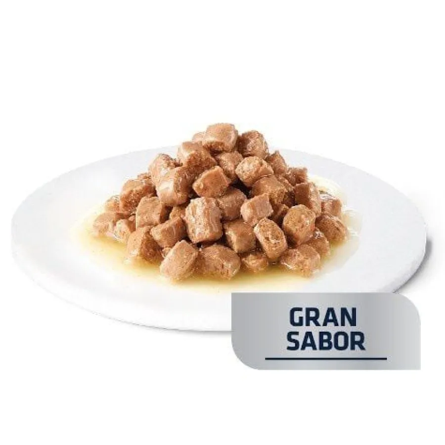 Advance Gastroenteric Pollo sobre para gatos Hot