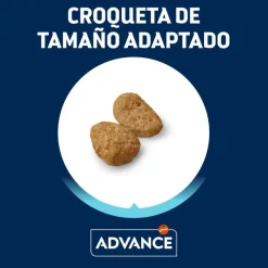 Advance Junior Sterilized pienso para gatos New