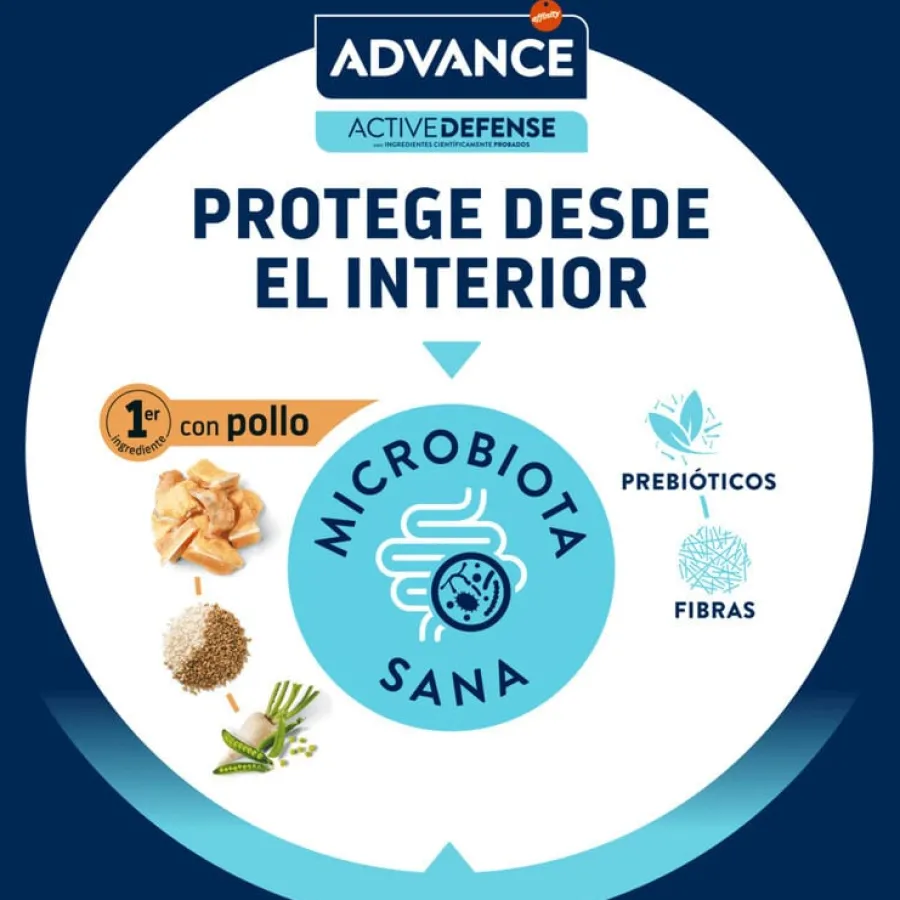 Advance Junior Sterilized pienso para gatos New