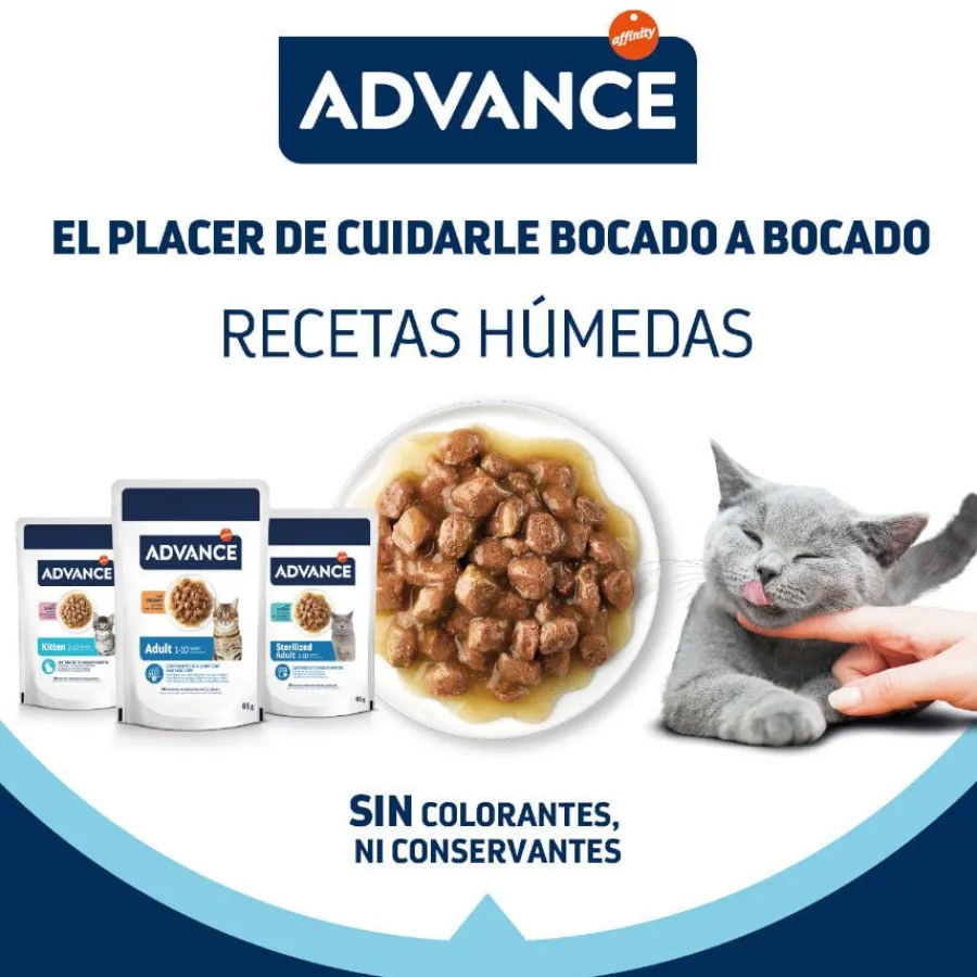 Advance Kitten Pavo en salsa sobre para gatitos Sale