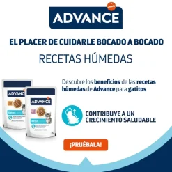 Advance Kitten Pavo en salsa sobre para gatitos Sale