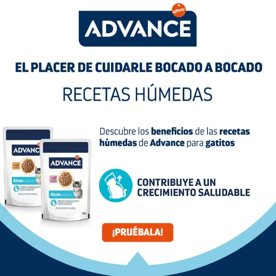 Advance Kitten Pavo en salsa sobre para gatitos Sale
