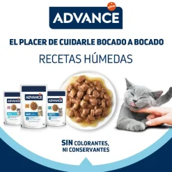 Advance Kitten Pollo en salsa sobre para gatitos Discount