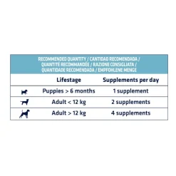 Advance Palitos Gastro Forte para perros con diarrea Clearance