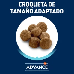 Advance Pollo y Arroz pienso para gatitos