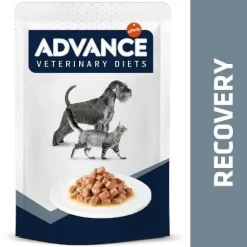 Advance Recovery Sobre para perros y gatos Clearance