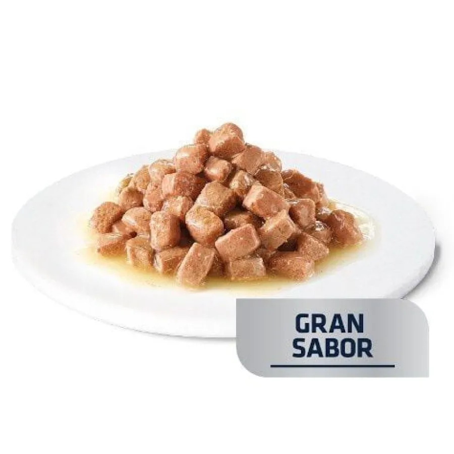 Advance Recovery Sobre para perros y gatos Clearance