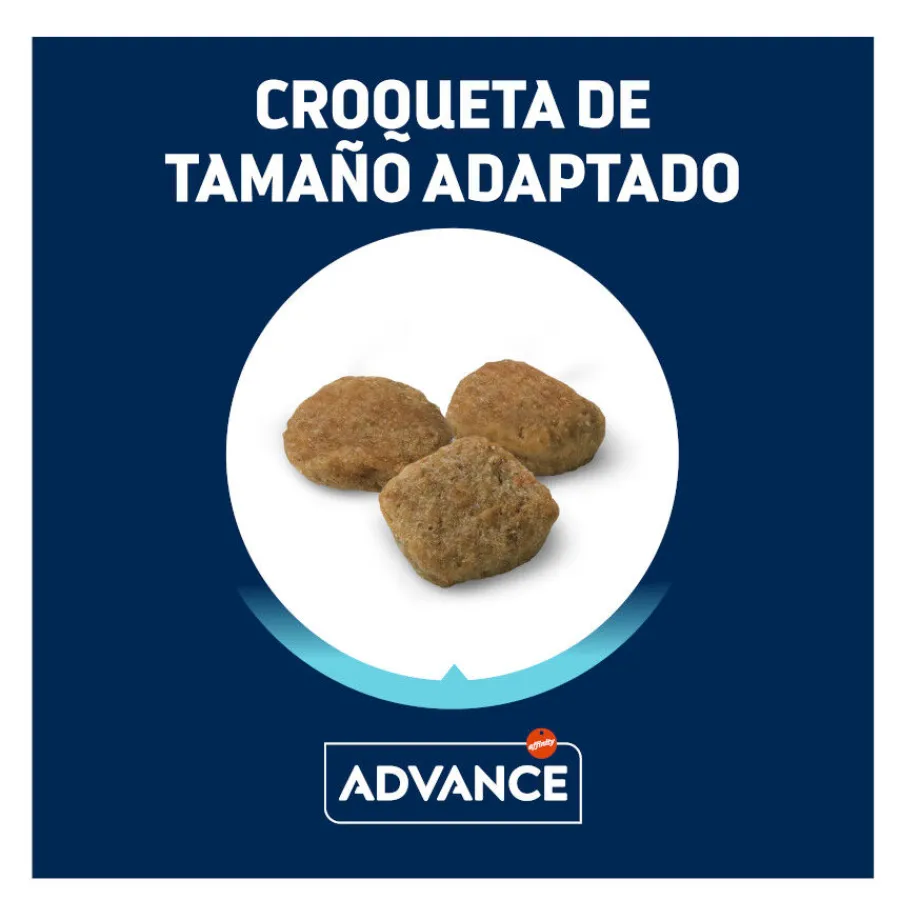 Advance Senior Mini +8 Pollo y Arroz pienso para perros Outlet