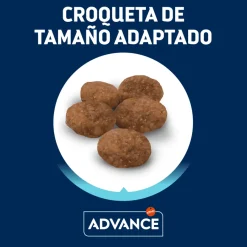 Advance Sensitive Adult Salmón y Arroz pienso para gatos New