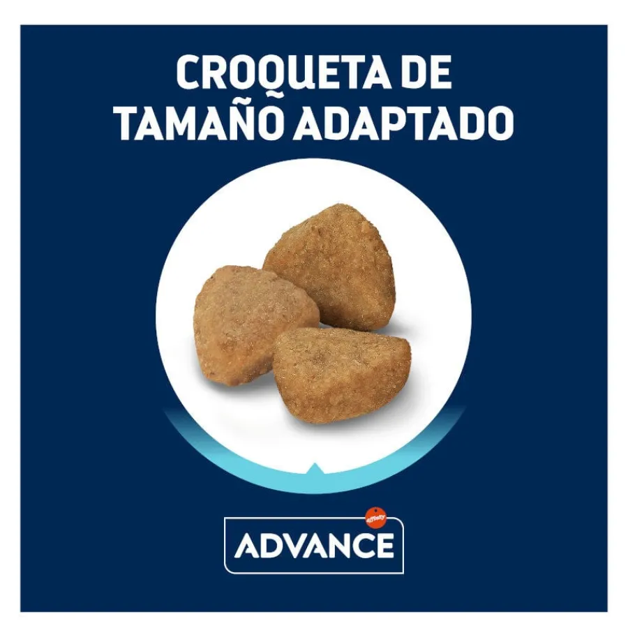 Advance Sterilized +10 pollo y cebada pienso para gatos Hot