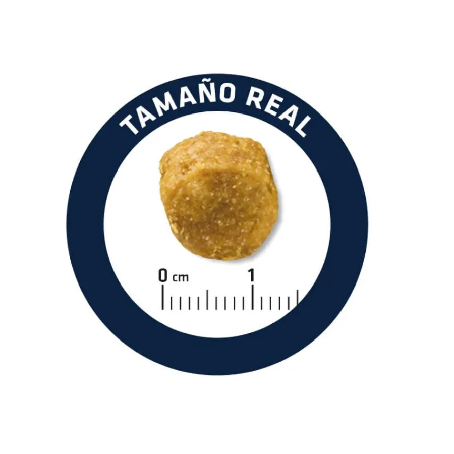 Advance Veterinary Diets Urinary Low Purine pienso para perros Online