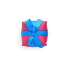 All For Paws Birthday Treasure Peluche variado para perros Clearance