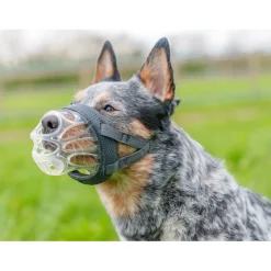 Company Of Animals Baskerville Invisa bozal moldeable para perros Best