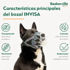 Company Of Animals Baskerville Invisa bozal moldeable para perros Best