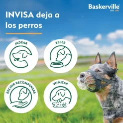 Company Of Animals Baskerville Invisa bozal moldeable para perros Best
