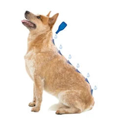 Beaphar Caniguard Duo Pipetas Antiparasitarias para perros pequeños Outlet