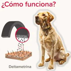 Beaphar Canishield Collar Antiparasitario para perros Best