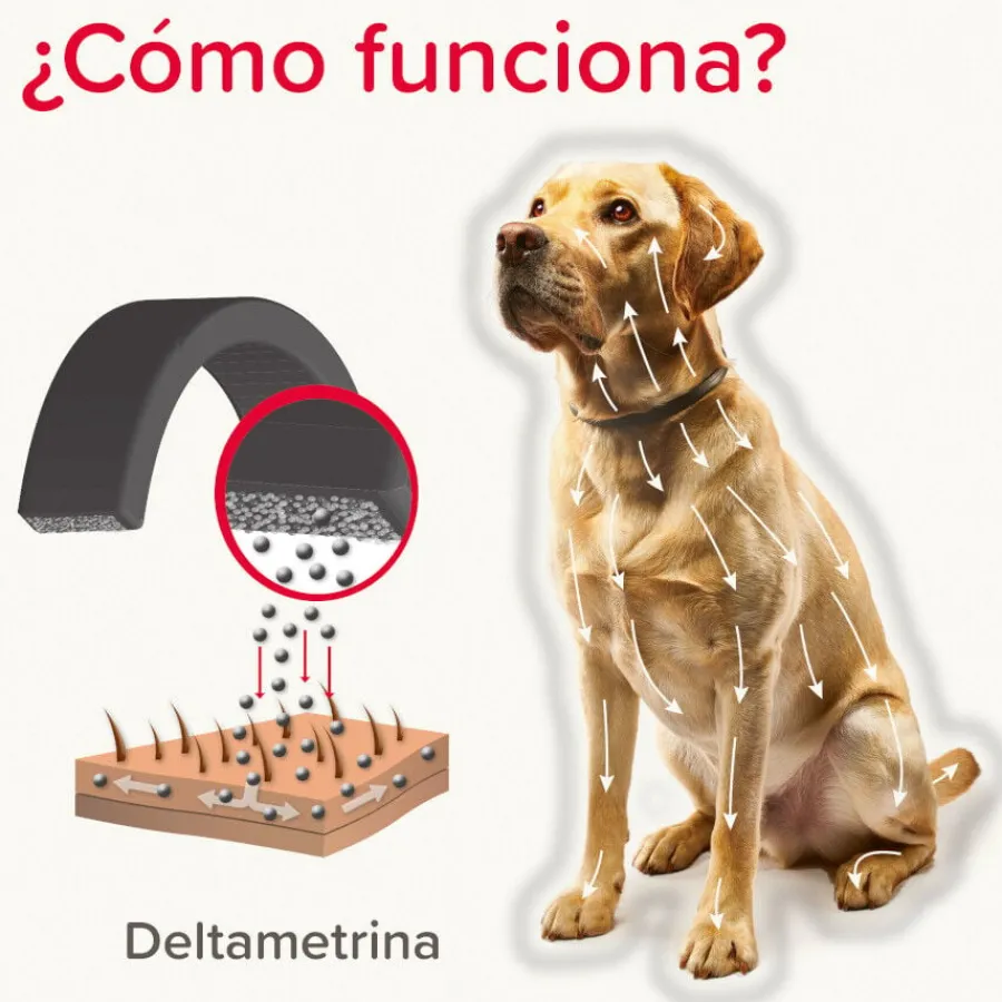 Beaphar Canishield Collar Antiparasitario para perros Best