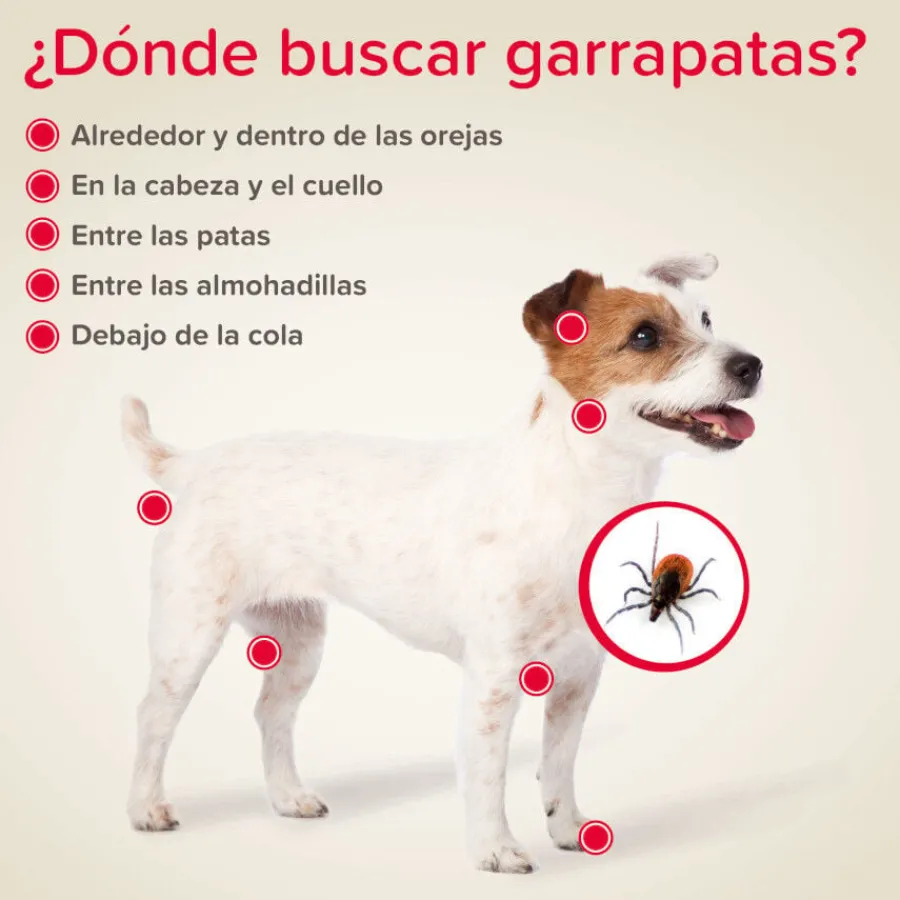 Beaphar Canishield Collar Antiparasitario para perros Best