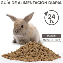 Beaphar Care + Junior Pienso para conejo junior Discount