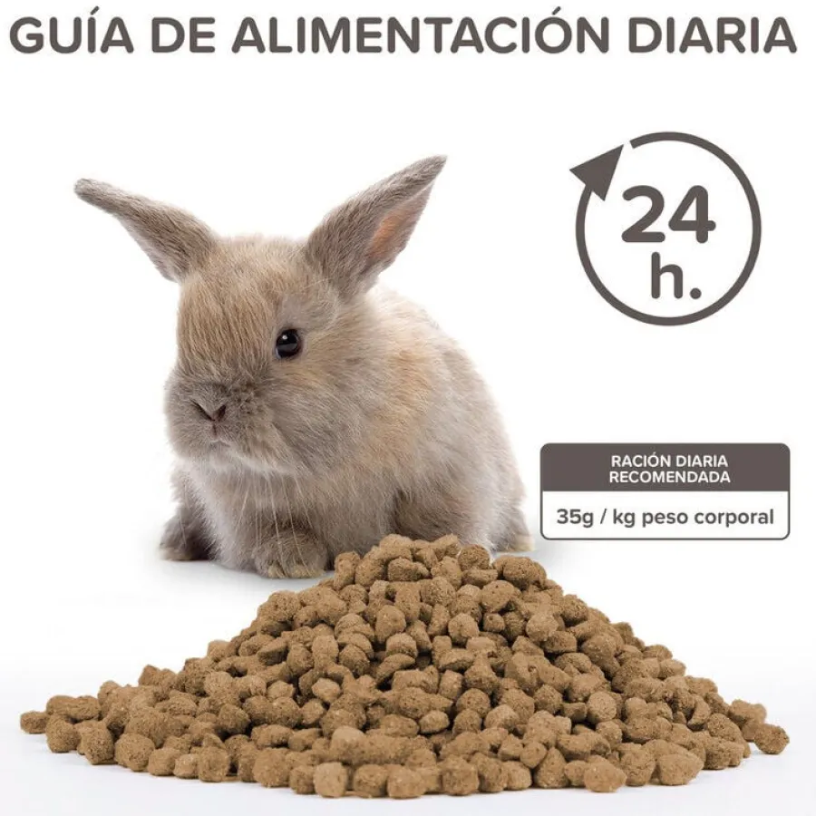 Beaphar Care + Junior Pienso para conejo junior Discount